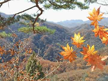 天水成紀(jì)新城最新動(dòng)態(tài)，蓬勃發(fā)展中的未來(lái)之城